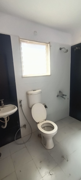 More Images