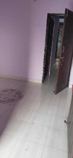 More Images