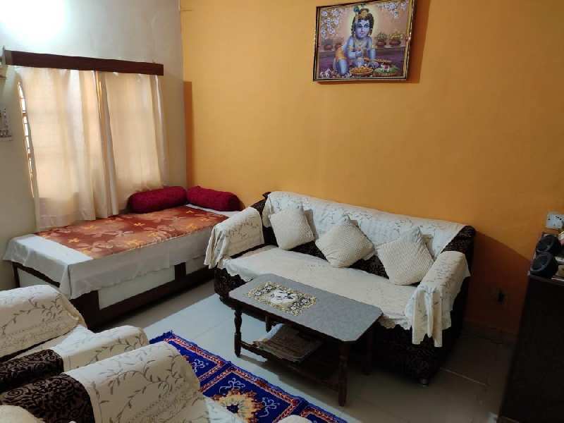 More Images