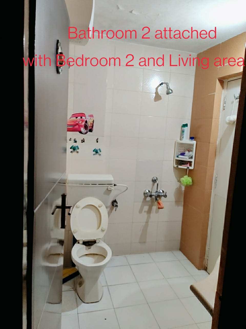More Images